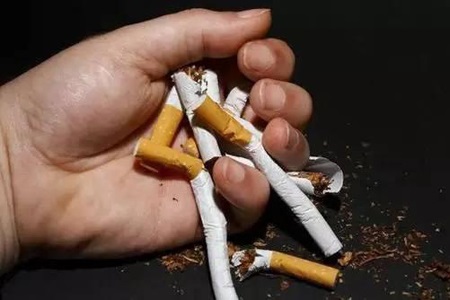 守护家人幸福最重要！从改善室内空气质量开始