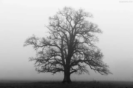 雾霾能破坏人体新陈代谢，导致肥胖